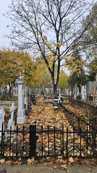 Cedez concesionez loc de veci in Cimitirul Ghencea