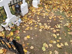 Cedez concesionez loc de veci in Cimitirul Ghencea