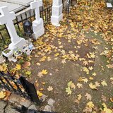 Cedez concesionez loc de veci in Cimitirul Ghencea
